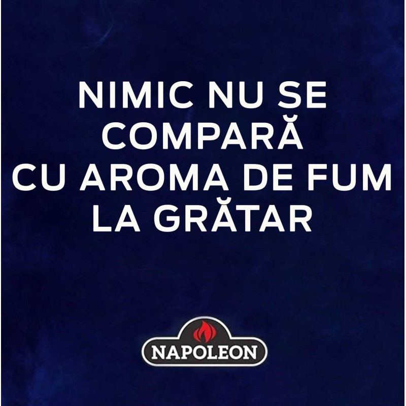 Sort pentru gratar Napoleon PRO 62135