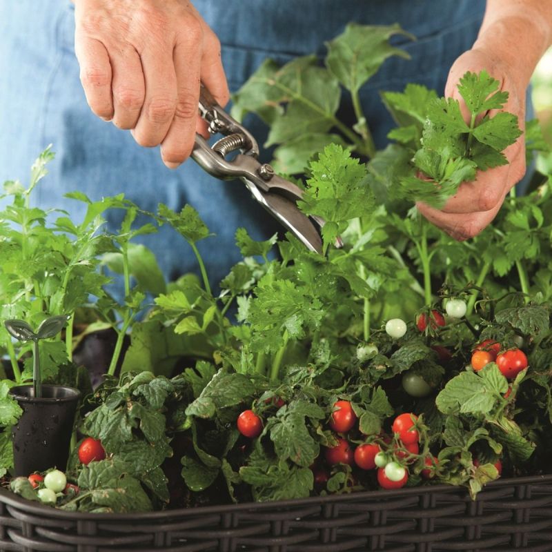 Ghiveci maro Keter Easy Grow 120 L