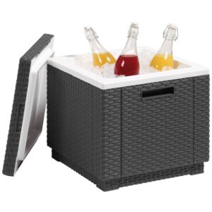 Cutie depozitare patrata graphite Keter Ice Cube