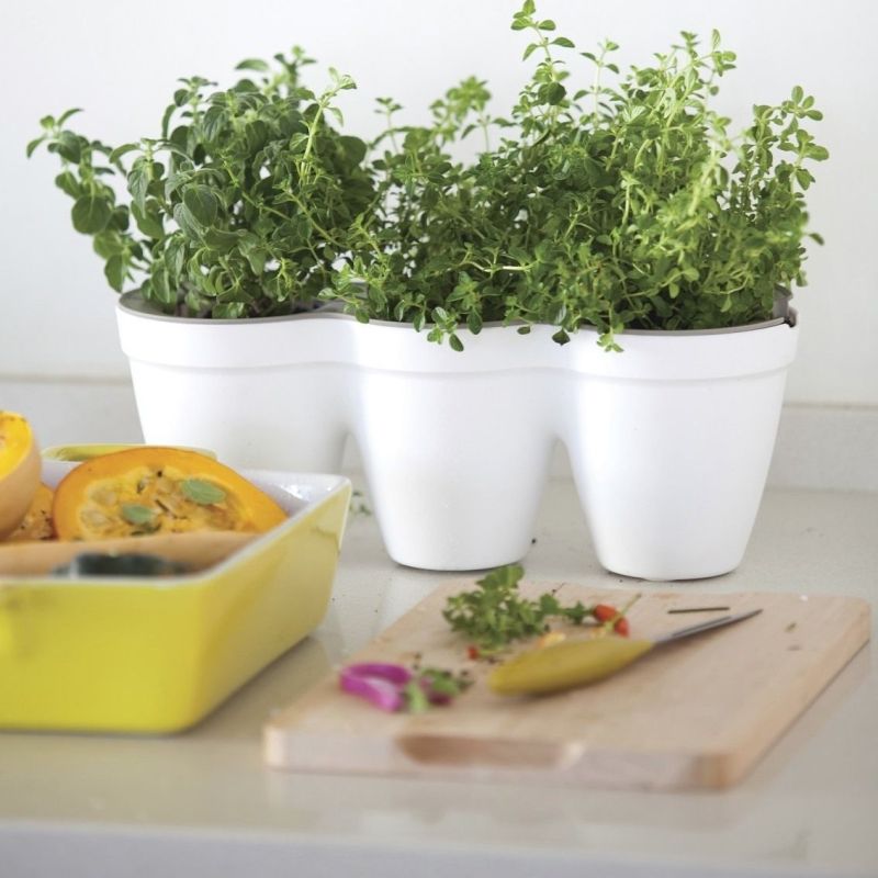 Ghiveci triplu alb fara farfurie Keter Ivy Herbs 2.5 L