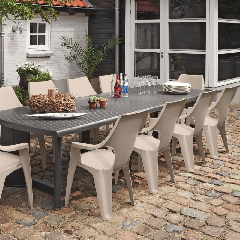Dante lowback cappuccino 168 std 209326